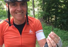 Dienstag – Bike